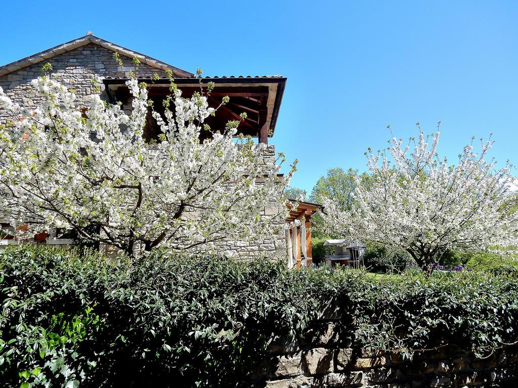 Holiday Home Casa Dei Farfui Momjan Buitenkant foto